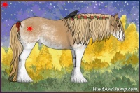 Horse Color:White Spotted Chestnut