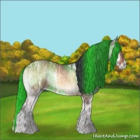 Horse Color:Bay Ice Onyx 