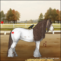 Horse Color:White Spotted Classic Champagne Snowcap 