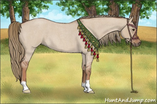 Horse Color:Red Dun Roan