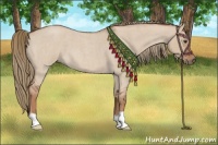 Horse Color:Red Dun Roan