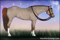 Horse Color:Liver Red Dun Roan 
