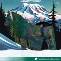 Horse Color:ERROR: UNKNOWN ANOMALY and ERROR: UNKNOWN ANOMALY