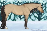 Horse Color:Buckskin Dun Brindle 