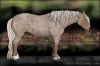 Horse Color:Silver Blue Roan Sabino 