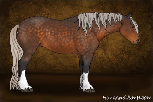 Horse Color:Silver Buckskin 