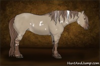 Horse Color:White Spotted Liver Red Dun 