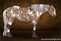 Horse Color:White Spotted Silver Bay Dun