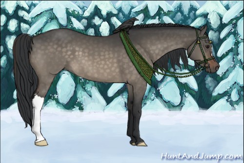 Horse Color:Brown Dun 