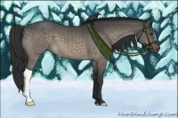 Horse Color:Brown Dun