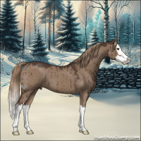 Horse Color:Liver Red Dun Roan Splash Brindle 