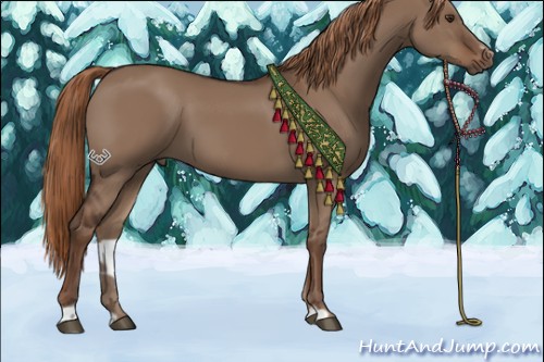 Horse Color:Liver Red Dun Sabino 