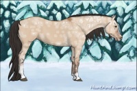 Horse Color:Bay Ice Dun Sabino 