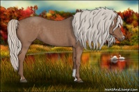 Horse Color:Silver Blue Roan Sabino 