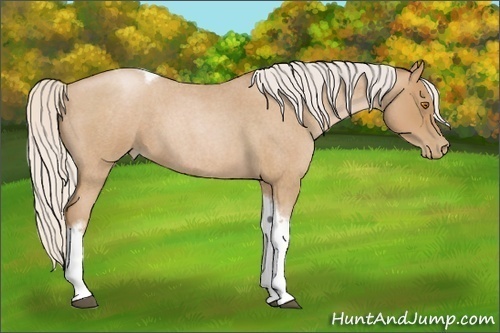 Horse Color:Silver Blue Roan Pearl Tobiano Frame 