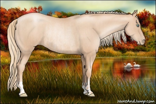 Horse Color:Gold Champagne Pearl Rabicano  and Gold Champagne Pearl Rabicano 