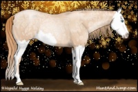 Horse Color:Gold Champagne Ice Pearl Rabicano  and Gold Champagne Ice Pearl Splash Rabicano 