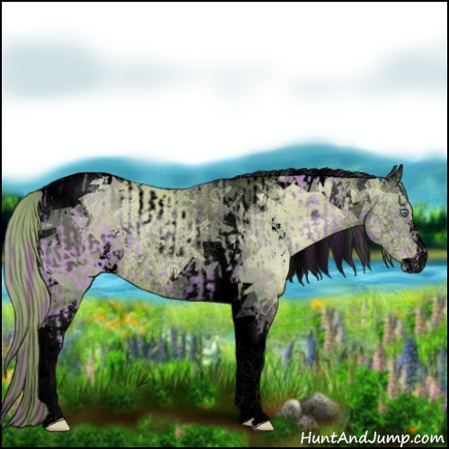 Horse Color:Void Watercolor Gold Champagne Roan Pearl Tobiano Rabicano  and Void Watercolor Gold Champagne Pearl Sabino Tobiano Rabicano 