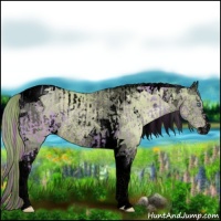 Horse Color:Void Watercolor Gold Champagne Roan Pearl Tobiano Rabicano and Void Watercolor Gold Champagne Pearl Sabino Tobiano Rabicano