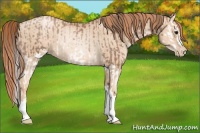 Horse Color:Black Pearl Splash Rabicano and Classic Champagne Pearl Rabicano