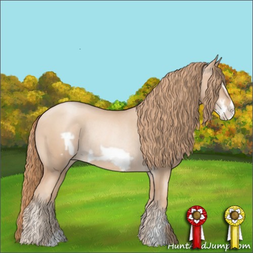 Horse Color:Gold Champagne Pearl Rabicano  and Gold Champagne Pearl Frame Rabicano 