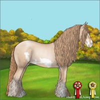 Horse Color:Gold Champagne Pearl Rabicano  and Gold Champagne Pearl Frame Rabicano 