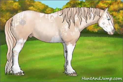Horse Color:Gold Champagne Pearl Tobiano Rabicano  and Gold Champagne Pearl Splash Rabicano 