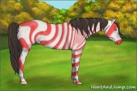 Horse Color:Amber Champagne