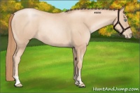 Horse Color:Gold Champagne Pearl Rabicano and Gold Champagne Pearl Rabicano