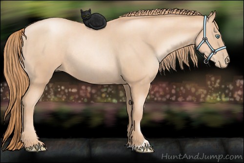 Horse Color:Gold Champagne Pearl Rabicano  and Gold Champagne Pearl Rabicano 