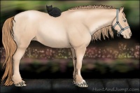 Horse Color:Gold Champagne Pearl Rabicano  and Gold Champagne Pearl Rabicano 
