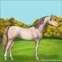 Horse Color:Gold Champagne Pearl  and Gold Champagne Pearl 