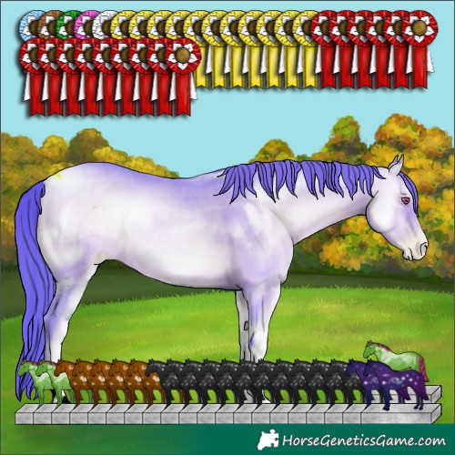 Horse Color:ERROR: UNKNOWN ANOMALY