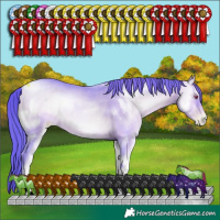 Horse Color:ERROR: UNKNOWN ANOMALY