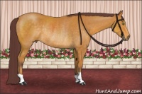 Horse Color:Chocolate Buckskin Rabicano 
