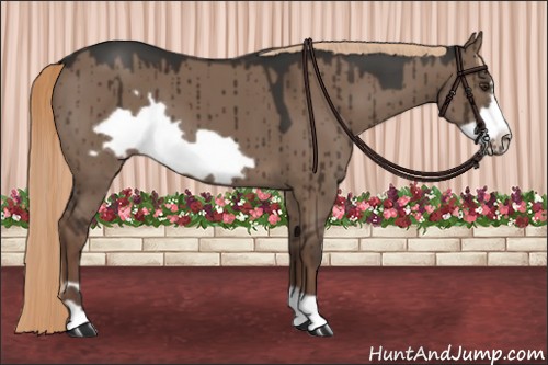 Horse Color:Liver Red Dun Frame 