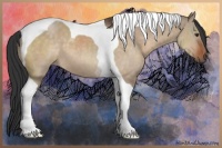 Horse Color:Brown Dun Sabino Tobiano