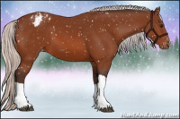Horse Color:Silver Bay Snowflake Varnish