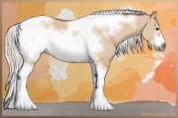 Horse Color:Silver Bay Dun Sabino Tobiano Frame Rabicano 