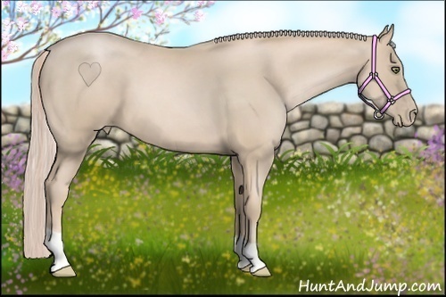 Horse Color:Palomino Pearl