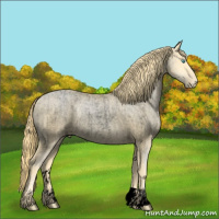 Horse Color:Void Buckskin Roan Pearl  and Void Buckskin Roan Pearl 