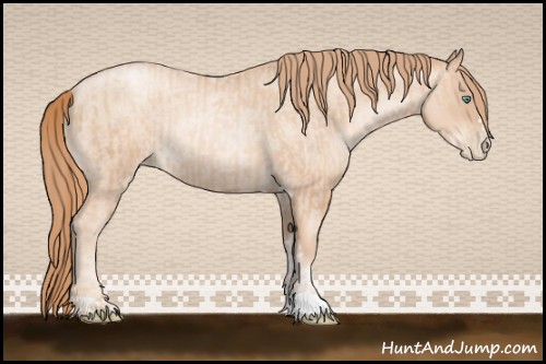 Horse Color:Gold Champagne Pearl Rabicano and Gold Champagne Roan Pearl Rabicano
