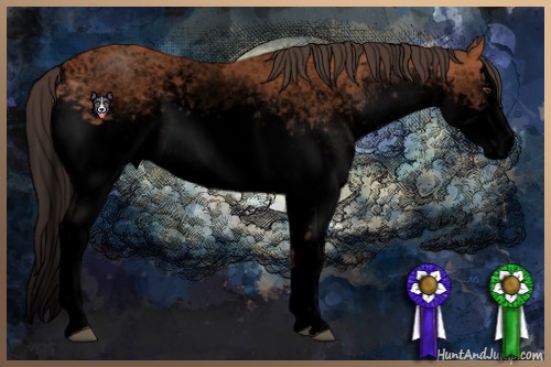 Horse Color:Void White Spotted Bay Sabino Splash Varnish 