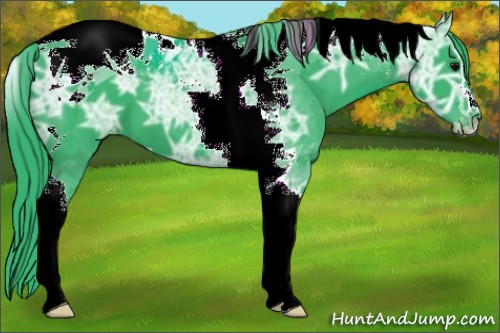 Horse Color:Watercolor Black Ice Sabino Tobiano Appaloosa 