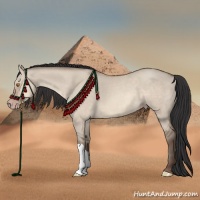 Horse Color:Sable Champagne Dun