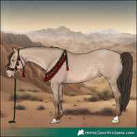 Horse Color:Sable Champagne Dun 