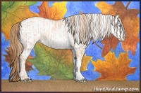 Horse Color:Gold Champagne Pearl Rabicano  and White Spotted Gold Champagne Pearl Rabicano 