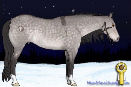 Horse Color:Platinum Buckskin Roan Dun Rabicano 