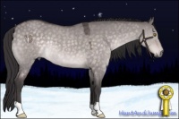 Horse Color:Platinum Buckskin Roan Dun Rabicano