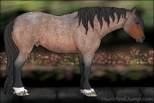 Horse Color:Brown Roan